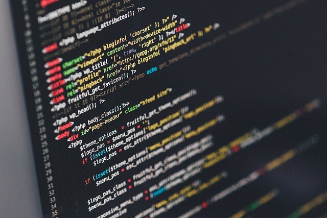 website development and user experience skills