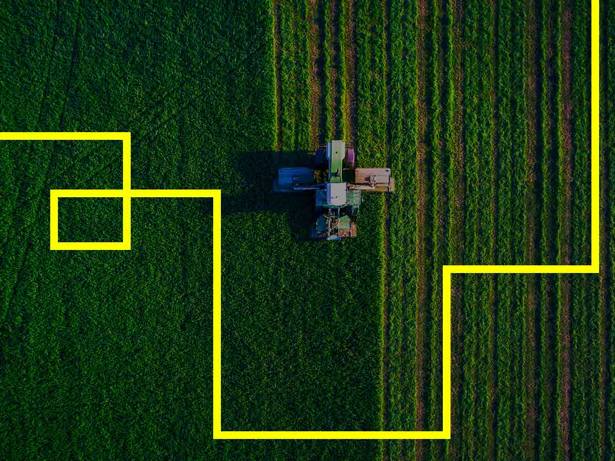 Food-and-Agribusiness