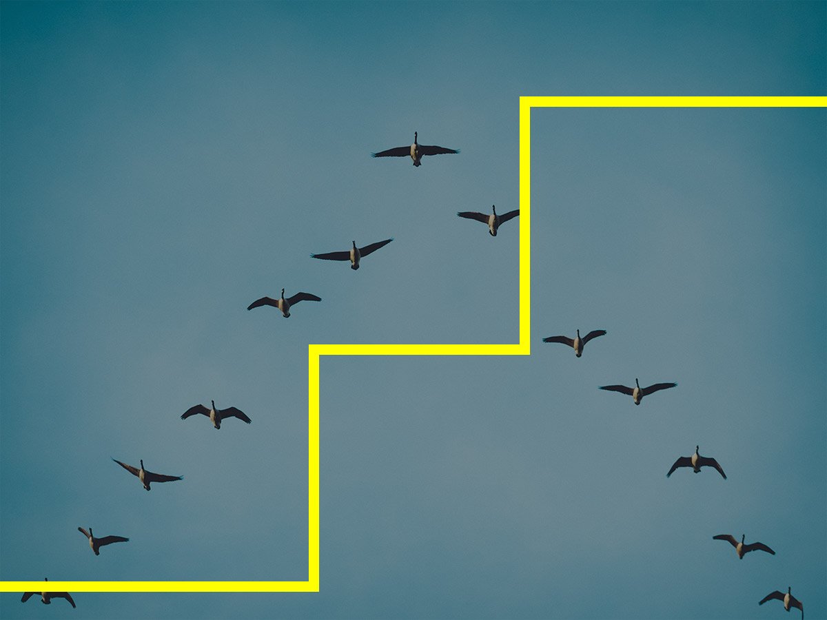 Leadership-and-Organizational-Development